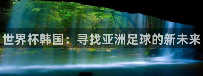 2026世界杯直播：世界杯韩国：寻找亚洲足球的新未来