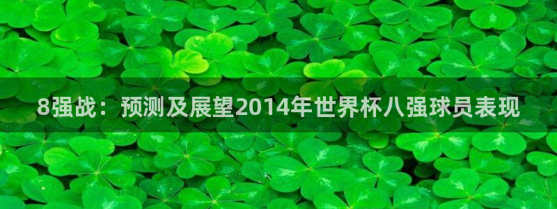 世界杯转播表：8强战：预测及展望2014年世界杯八强球员表现