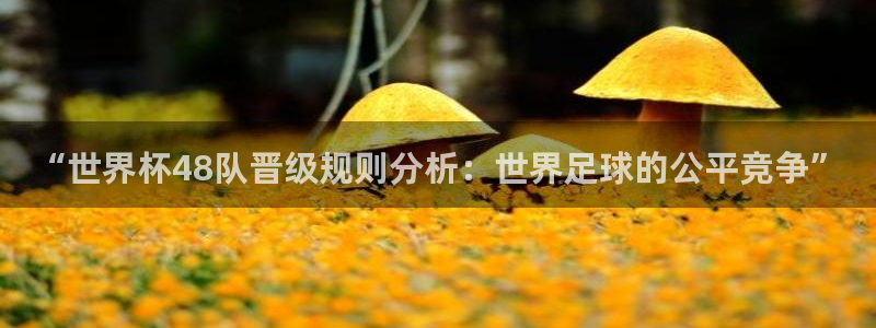 世界杯预选赛直播：“世界杯48队晋级规则分析：世界足球的公平竞争”