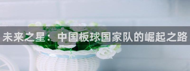 足球世界杯预选赛:未来之星:中国板球国家队的崛起之路