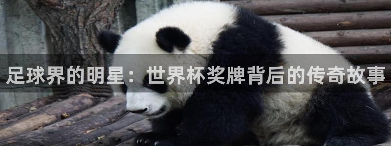 世界杯预选赛2026:足球界的明星:世界杯奖牌背后的传奇故事