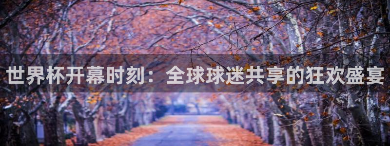 足球世界杯赛程：世界杯开幕时刻：全球球迷共享的狂欢盛宴