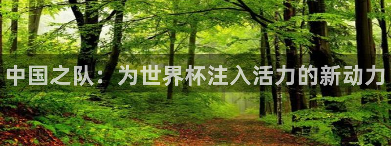 世界杯预选赛亚洲区积分榜：中国之队：为世界杯注入活力的新动力