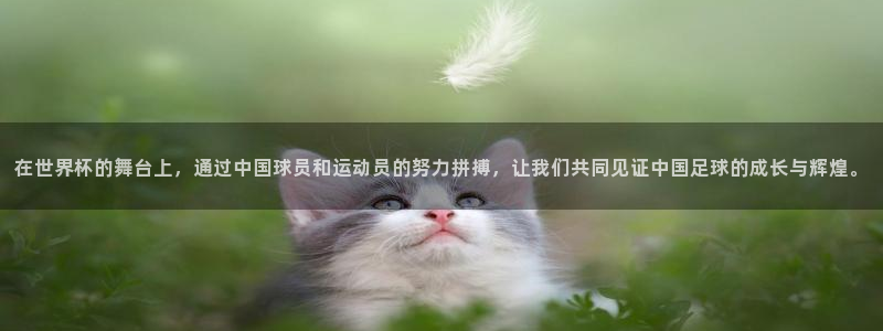 2026男足世界杯赛程：在世界杯的舞台上，通过中国球员和运动员的努力拼搏，让我们共同见证中国足球的成长与辉煌。