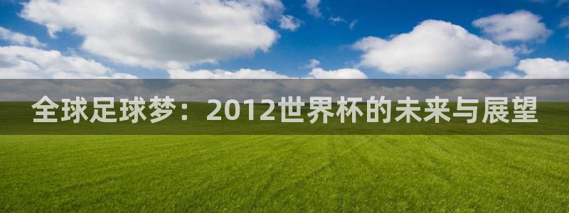 世界杯48支球队赛制：全球足球梦：2012世界杯的未来与展望