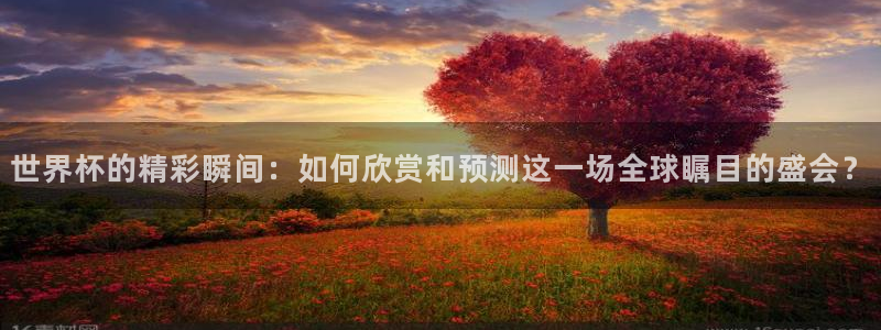 世界杯 赛程：世界杯的精彩瞬间：如何欣赏和预测这一场全球瞩目的盛会？
