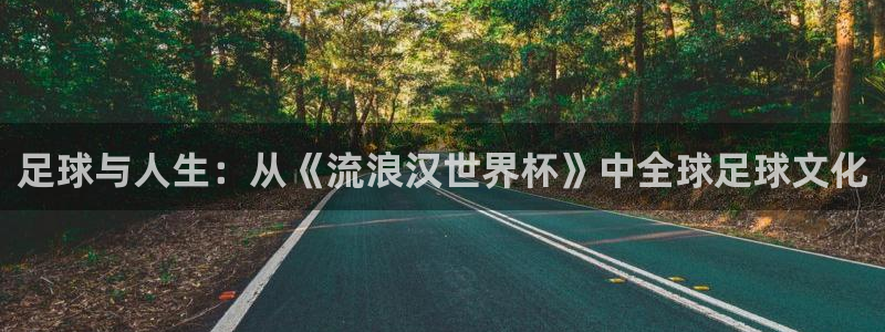 法国杯2026赛程表：足球与人生：从《流浪汉世界杯》中全球足球文化