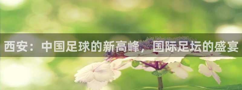 2026世界杯32强对阵图表：西安：中国足球的新高峰，国际足坛的盛宴
