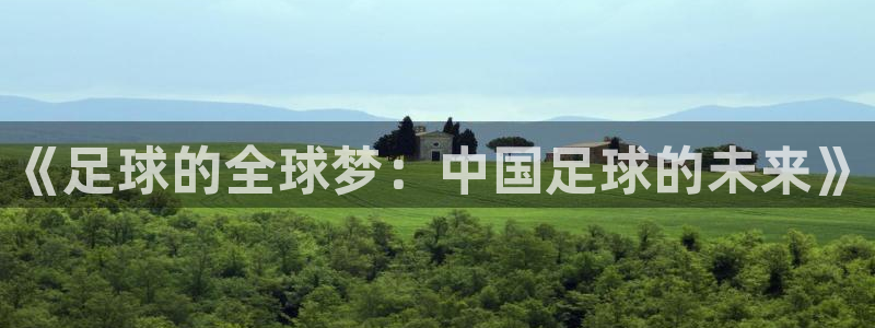 2006年世界杯冠军：《足球的全球梦：中国足球的未来》
