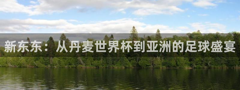 2026世界杯赛程：新东东：从丹麦世界杯到亚洲的足球盛宴