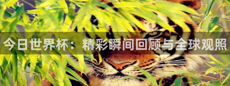2026足球世界杯赛程时间表：今日世界杯：精彩瞬间回顾与全球观照